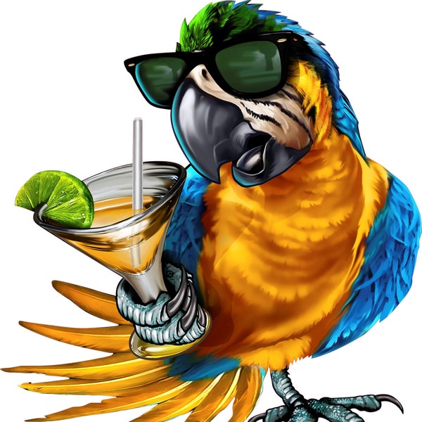 5 O'clock somewhere decal, full color parrot decal, drinking parrot sticker, parrot laptop sticker, vinyl decal, vinyl sticker