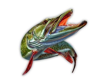 Colorful Muskellunge/Musky Fish Image (Digital Download)