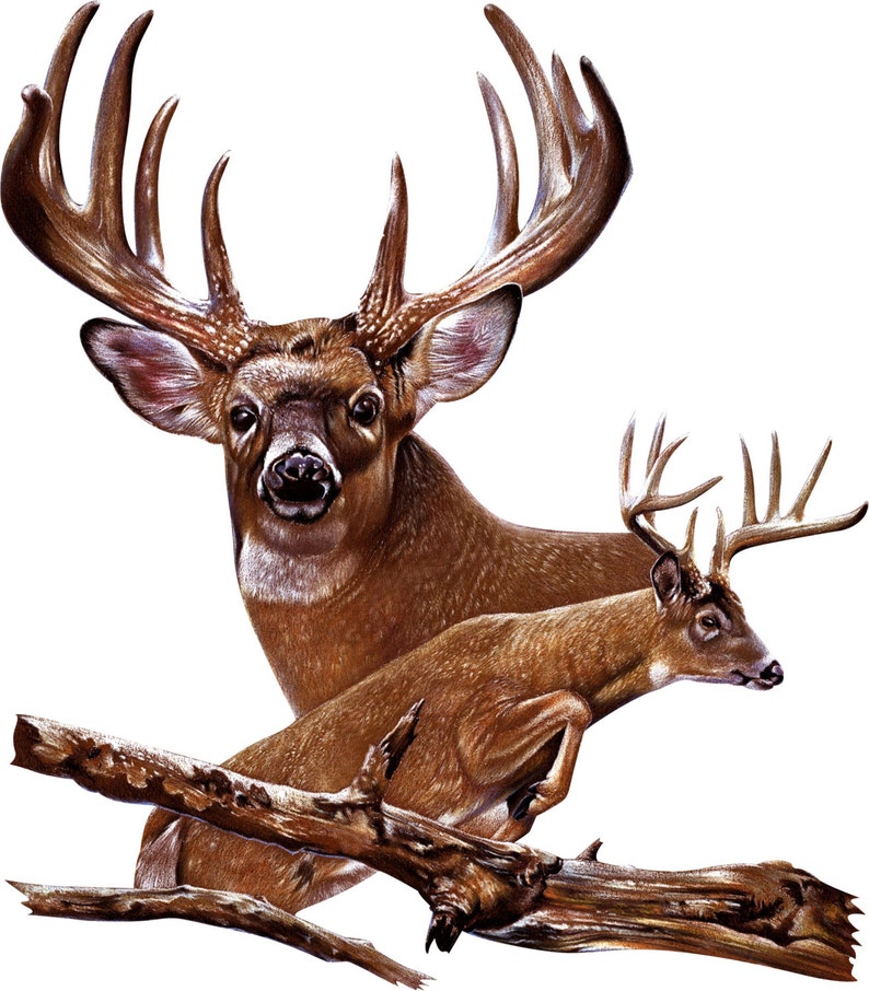 Deer Jumping Decal Full Color Wild Deer Decal Realistic Deer | Etsy