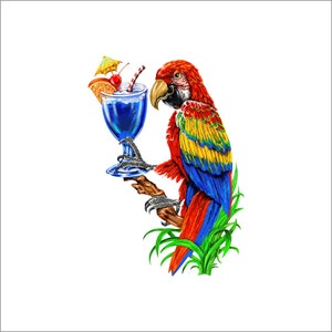 5 O'clock somewhere decal, full color parrot decal, drinking parrot sticker, parrot laptop sticker, vinyl decal, vinyl sticker