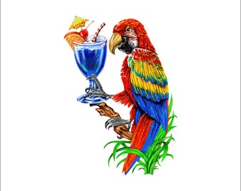 5 O&#39;clock somewhere decal, full color parrot decal, drinking parrot sticker, parrot laptop sticker, vinyl decal, vinyl sticker