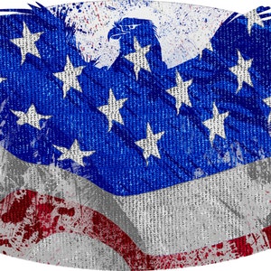 American flag  Eagle decal, full color Eagle flag decal, USA pride sticker, American flag eagle laptop sticker, vinyl decal, vinyl sticker