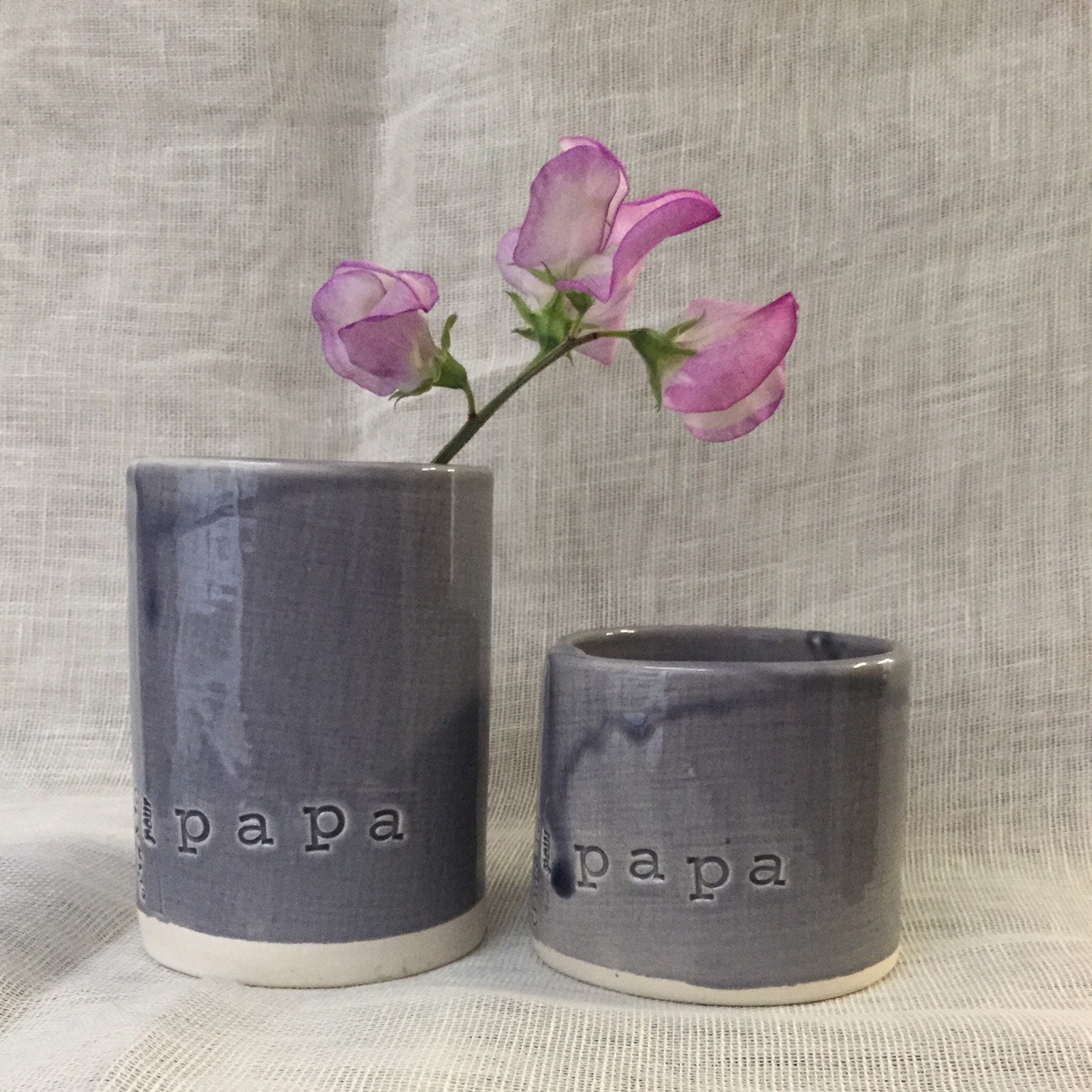 La Tasse Des Papas