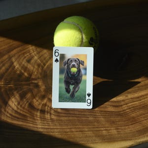 Gepersonaliseerde speelkaarten, gepersonaliseerd kaartspel, kerstcadeaus, cadeau hondenfoto's, feestartikelen