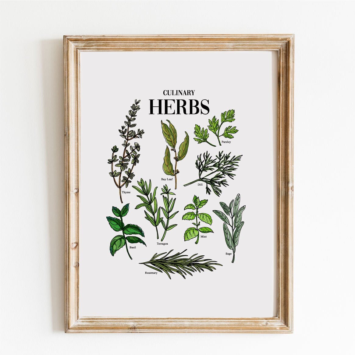 Herbs Art Printable Herbs Print Herbs Kitchen Poster Etsy