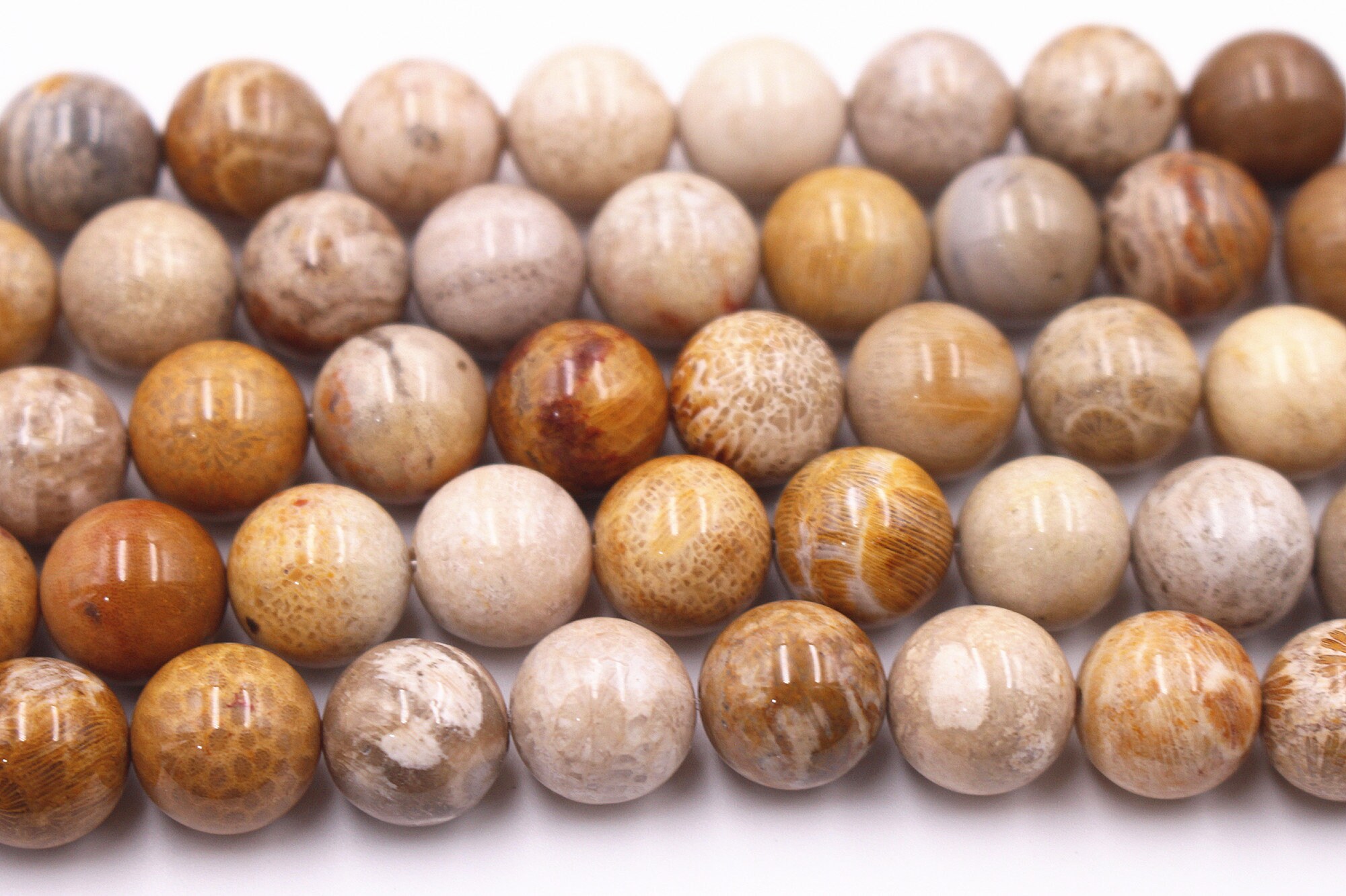 Natural Ocean Fossil Coral Jasper beads smooth round beads Etsy