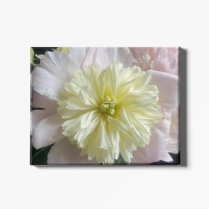 Floral Canvas Wall Art, Home Decor, Gift for Her, Botanical Print, Spring Decoration