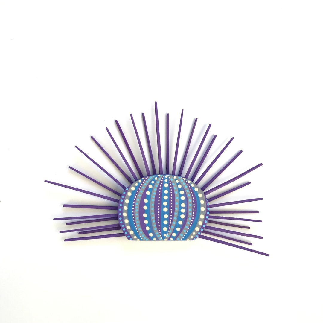 Colorful Sea Urchin Miniature Urchin Sea Urchin Wall Art Etsy