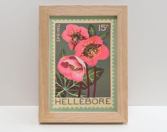 Hellebore A5 Risograph Mini Print | Spring Flower illustration, Vintage Stamp Art