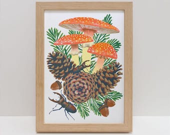 Fungi A4 Risograph Print | Enchanted Forest Botanical Art,  Fly Agaric Mushroom Illustration, Woodland Decor