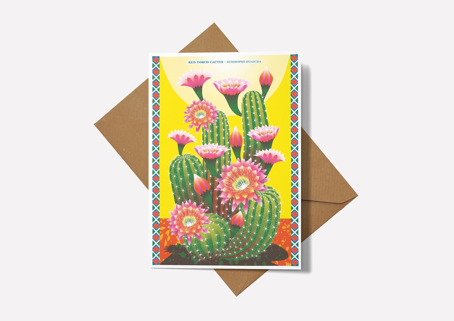 Red Torch Cactus Card Plant Illustration Botanical Print | Etsy