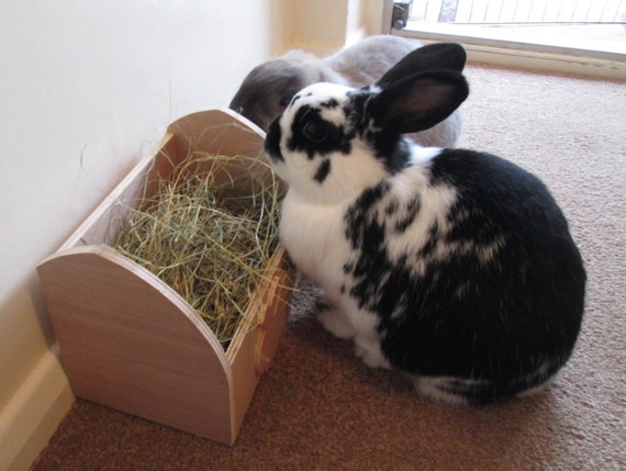 Rabbit Hay Feeder Feeding Box Etsy
