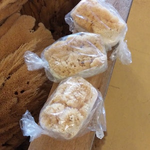 May include: Three natural sea sponges wrapped in clear plastic bags. The sponges are beige and have a rough texture. The bags are sitting on a wooden surface.