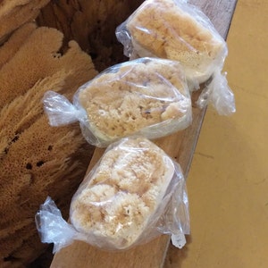 BEST SELLER!  Goats Milk Soap with Natural Sea Sponge