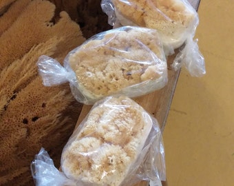 BEST SELLER! Goats Milk Soap with Natural Sea Sponge