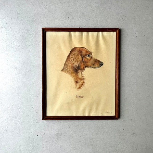 Original vintage dog picture, mid century drawing dachshund, vintage art