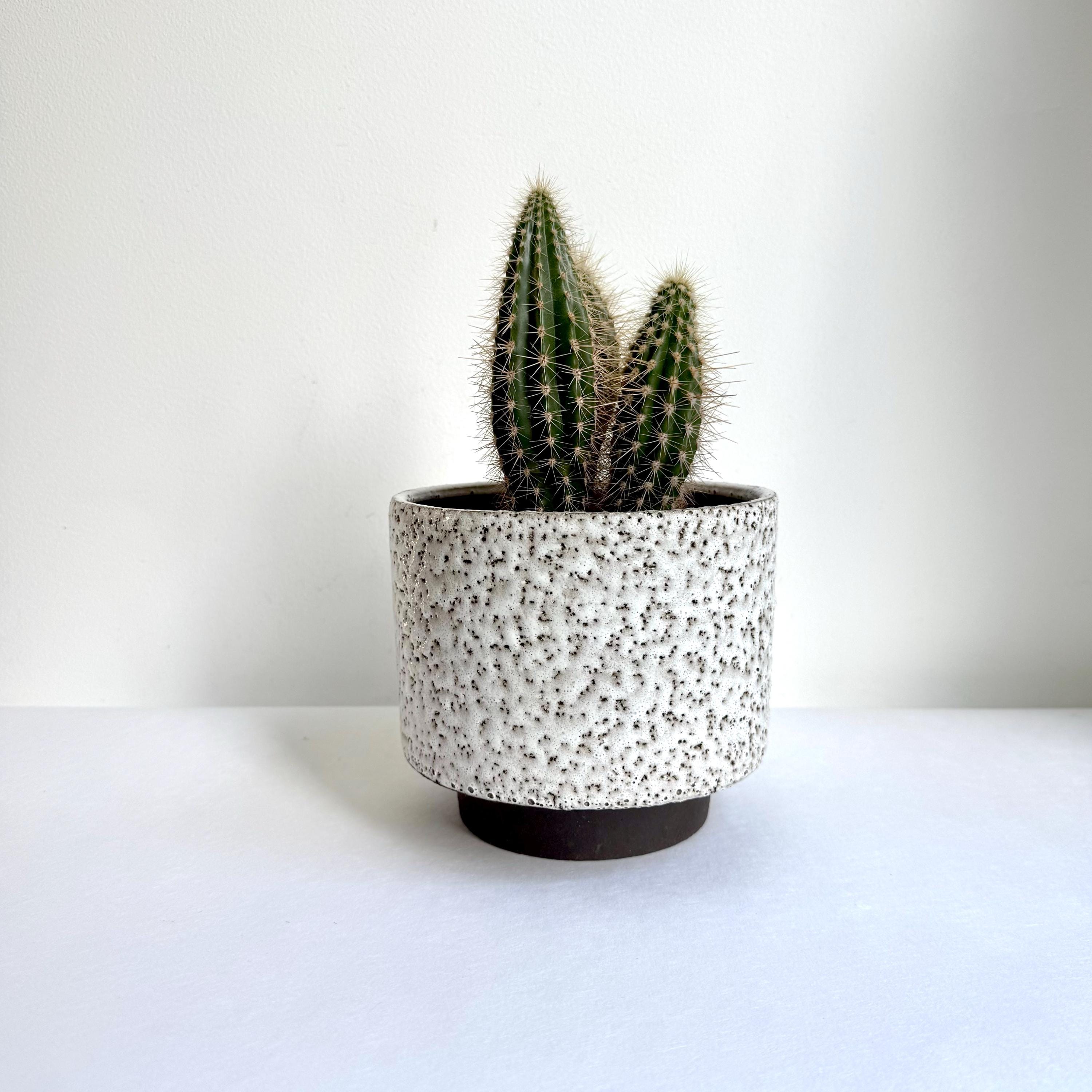 Fat lava planter - Etsy 日本