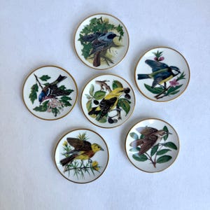 Songbirds of the World Franklin Porcelain - Etsy