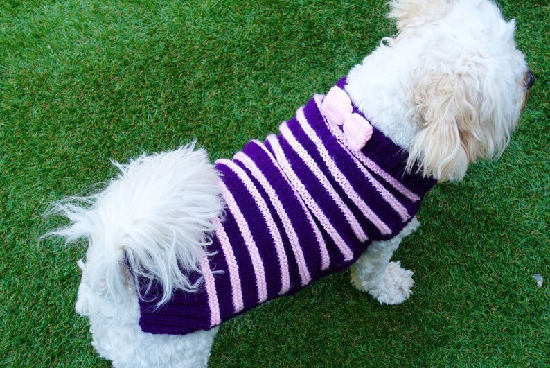 xs dog jumper