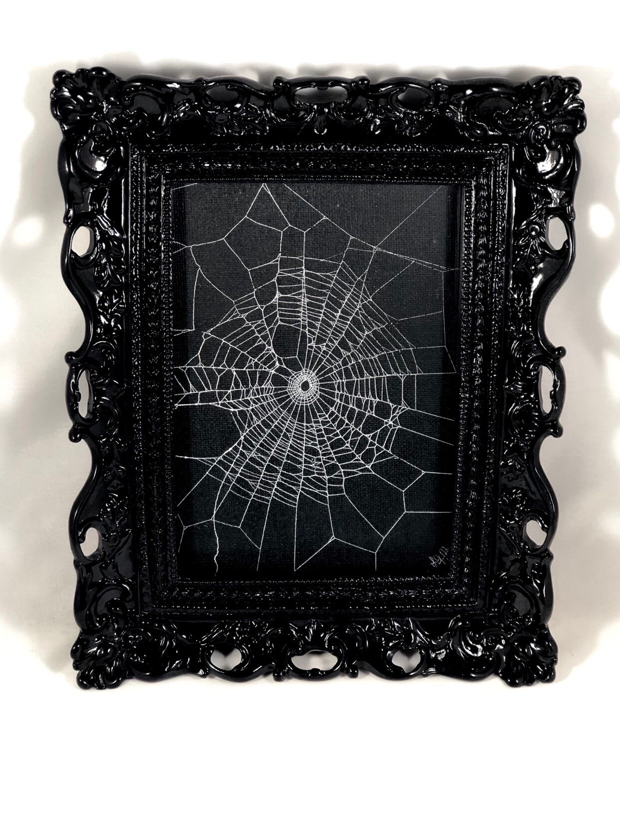 Real Spider Web, Preserved Spider Web, Framed Spider Web, Spider Web