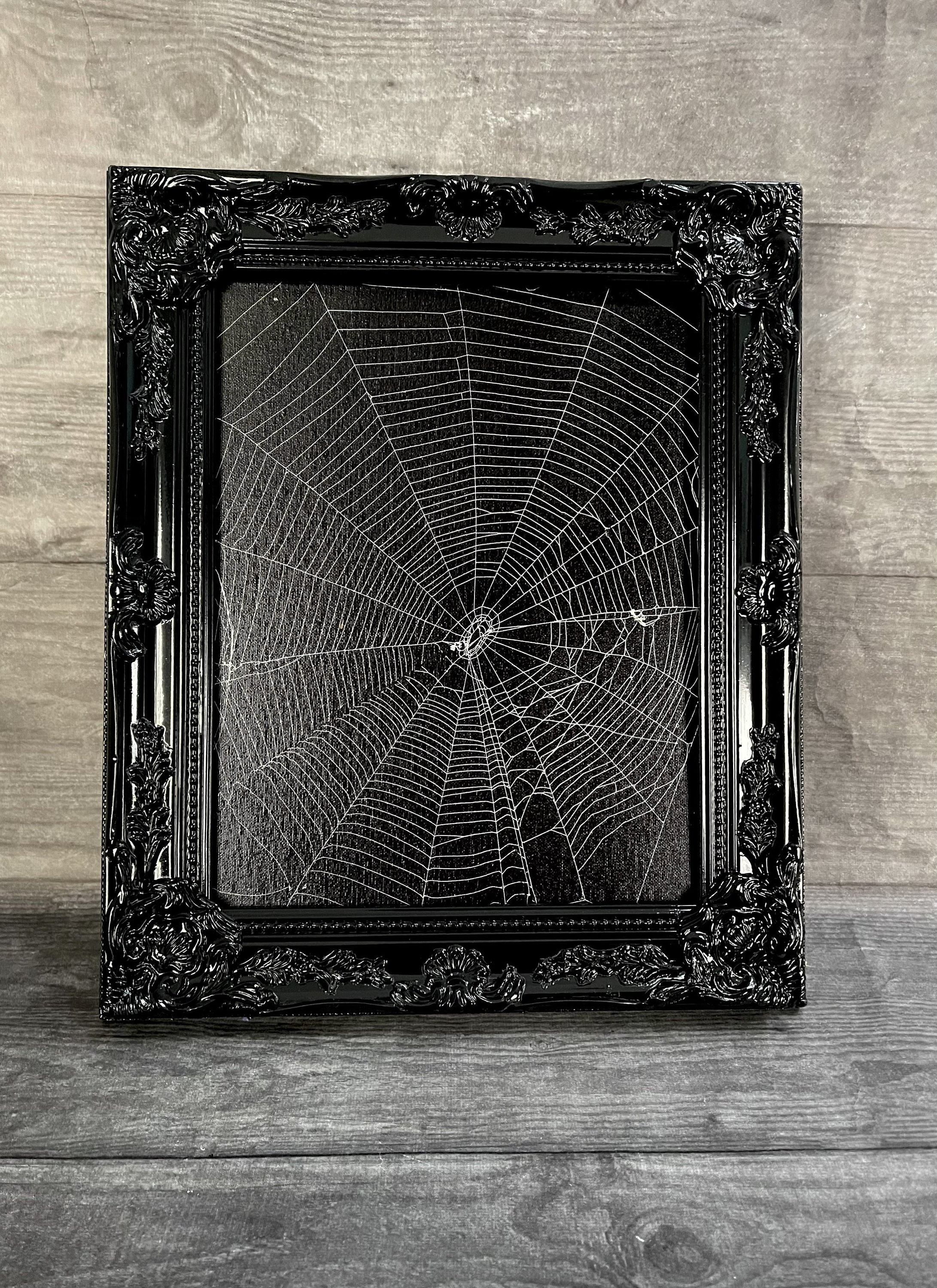 Real Spider Web, Preserved Spider Web, Framed Spider Web, Spider Web