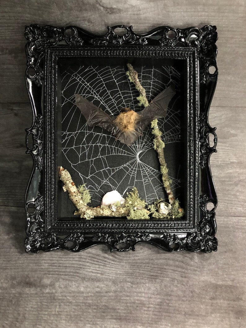 Gothic Shadow Box Konserviertes gerahmt Etsy