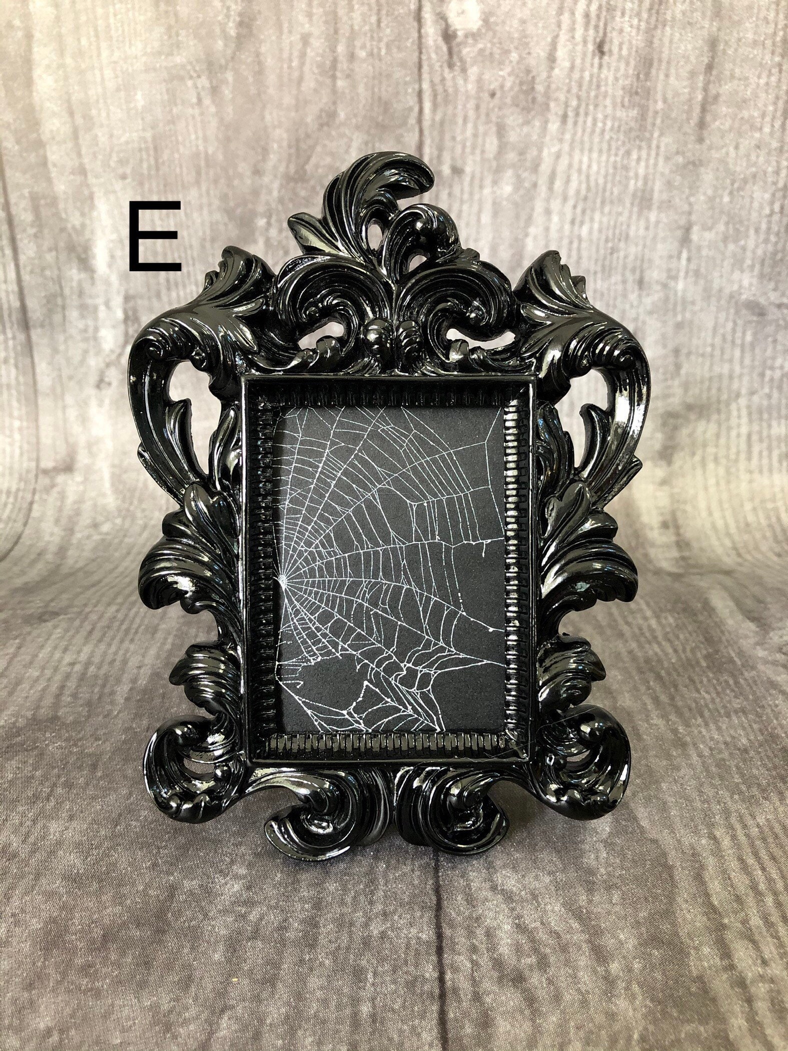 Itsy Bitsy Spider , Preserved Spider , Framed Spider , Spider