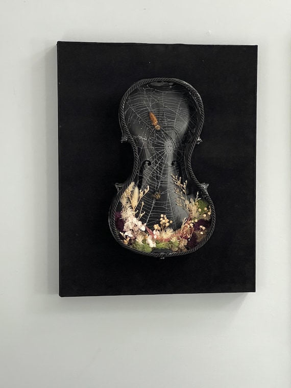 Preserved Spider Web Framed Cobweb Violin Shadowbox Spider Web Art Oddities Gothic Home Decor