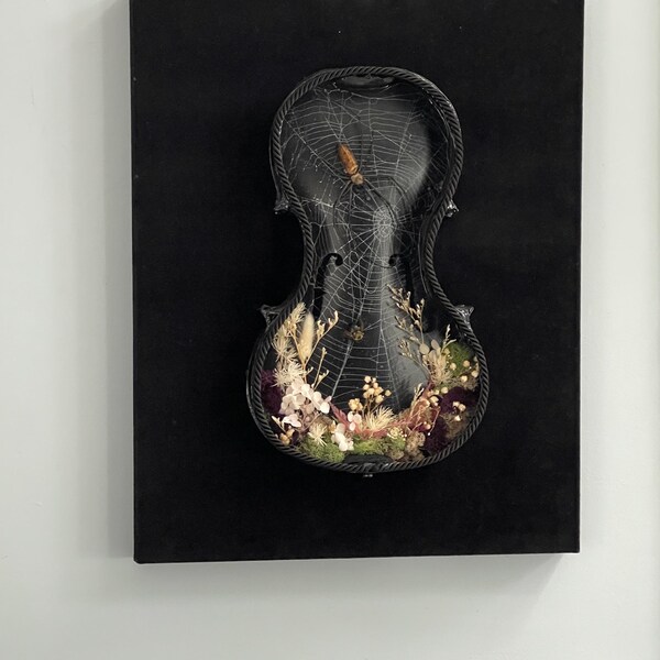 Preserved Spider Web Art: Violin Shadowbox - Gothic Home Decor