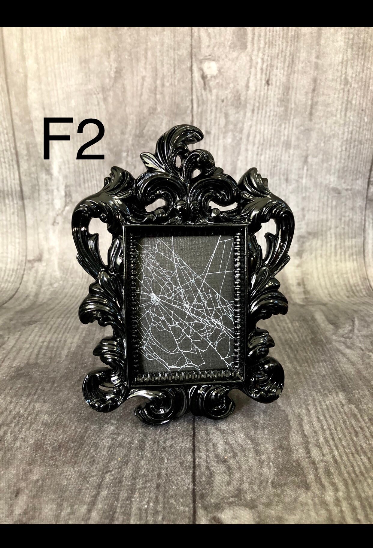 Itsy Bitsy Spider , Preserved Spider , Framed Spider , Spider