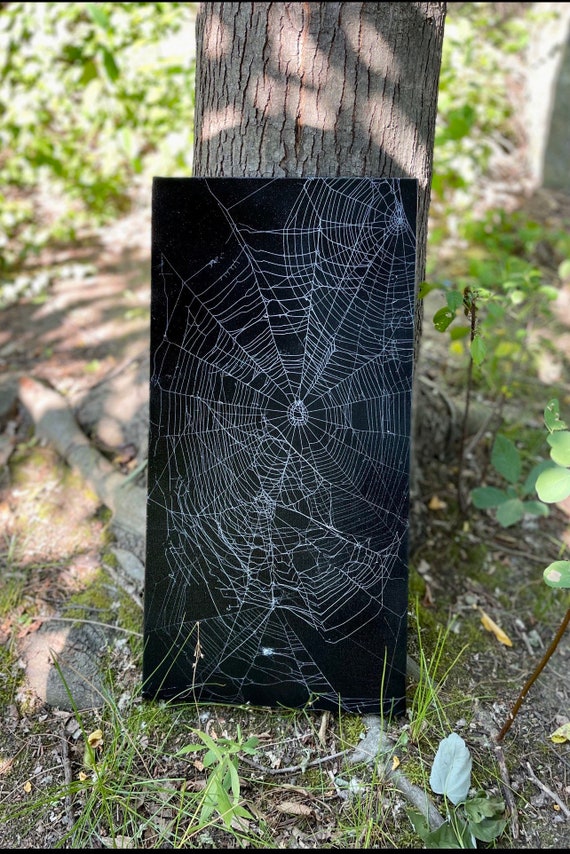 Real Preserved Spider Web, Spider Web on Canvas, Art from Nature, Gothic Home Decor