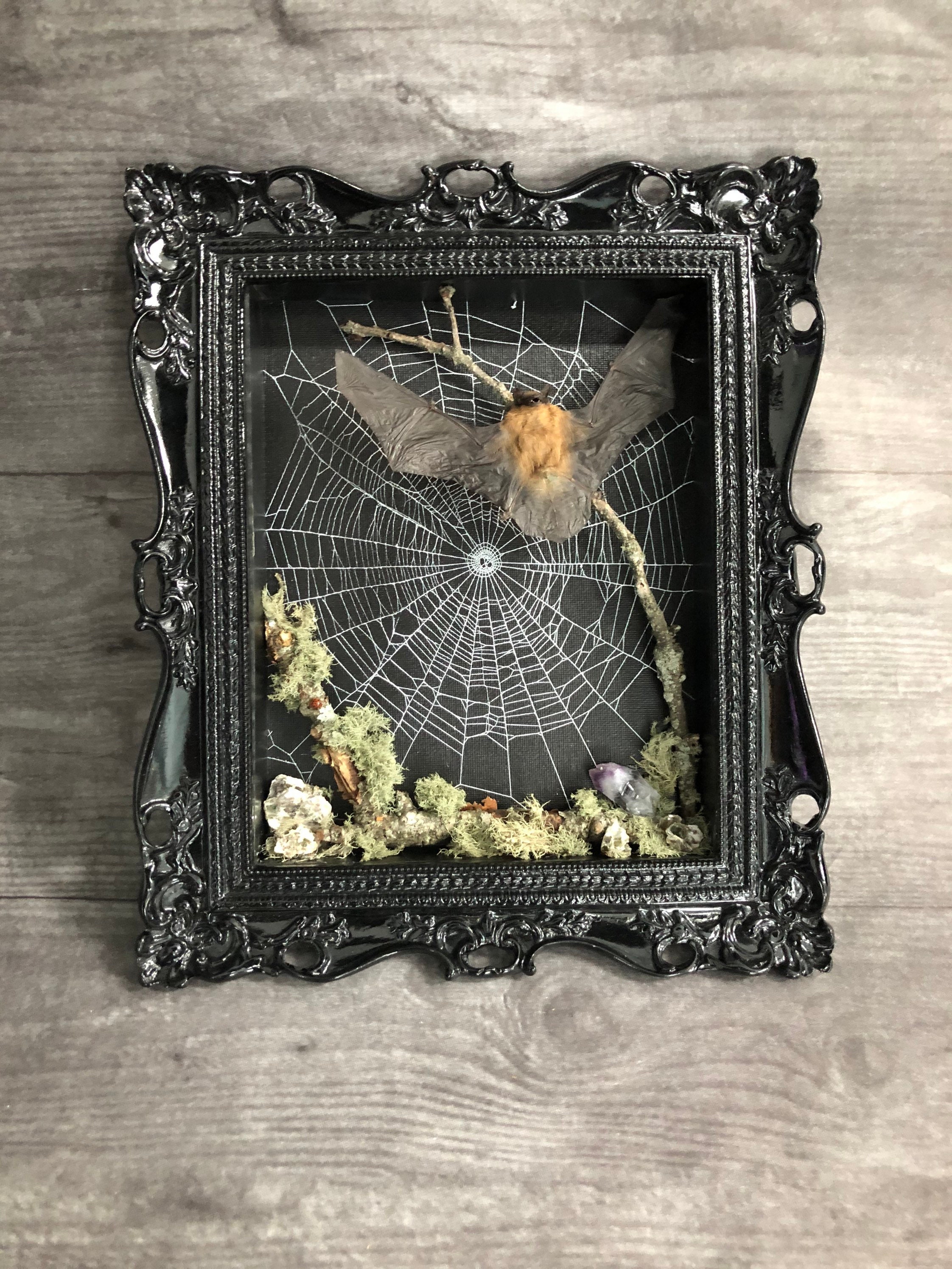 Gothic Shadow Box Met Korenkevers - Taxidermie Insecten In Decoratieve Lijst, Hekserij Decor Voor Slaapkamer