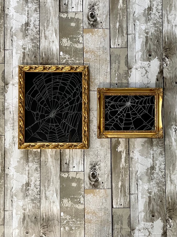 Real Preserved Spider Web, Framed CobWeb, Wall Art, Spider Taxidermy, Real Nature Decor, Gothic Home Decor, Halloween