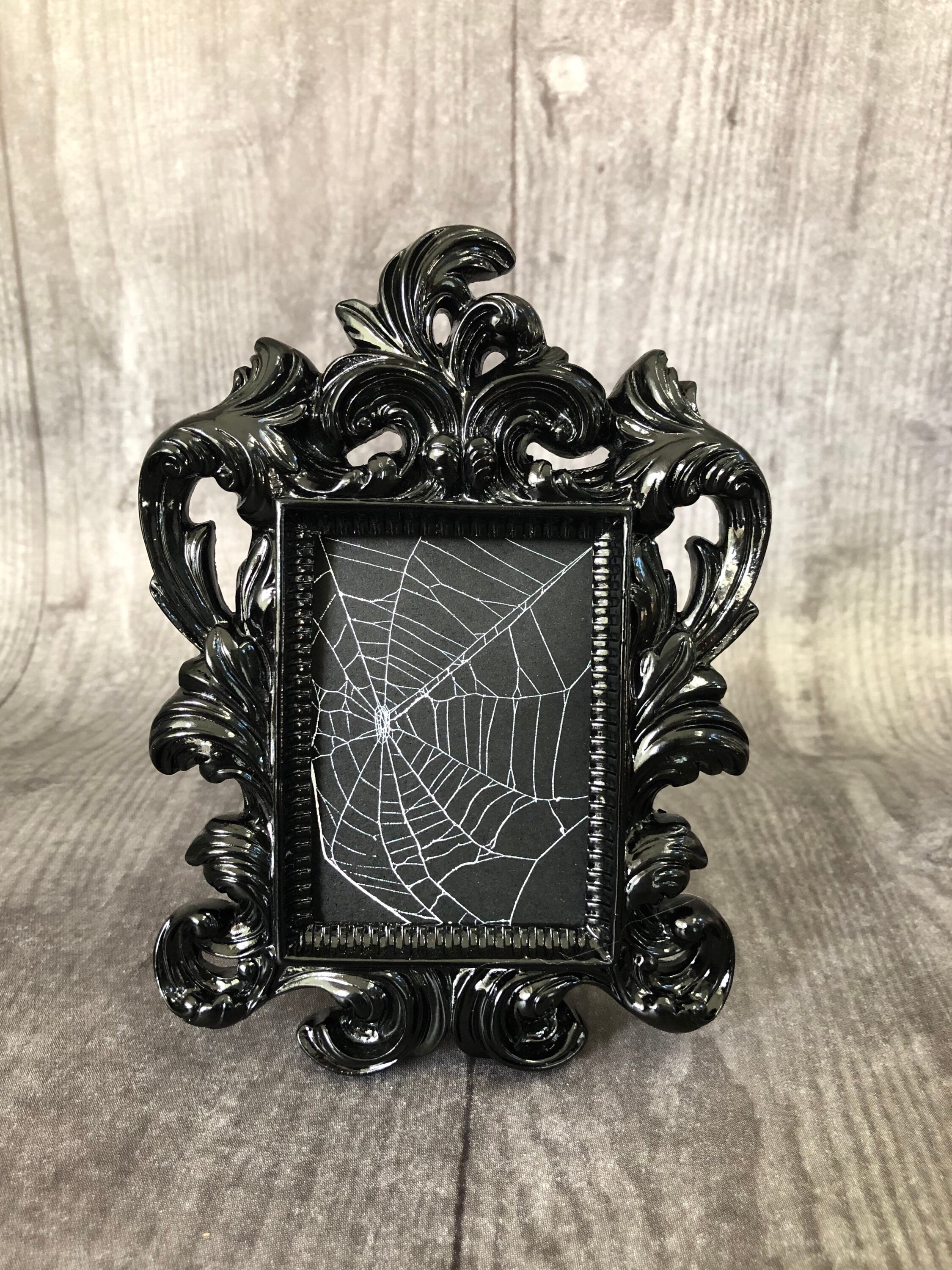 Itsy Bitsy Spider , Preserved Spider , Framed Spider , Spider