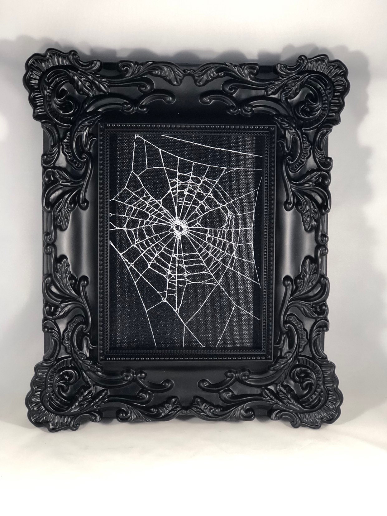 Genuine Preserved Spider Web Framed Spider Web Real Spider Web
