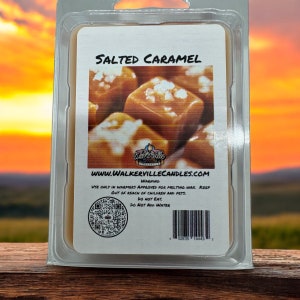 Salted Caramel Handmade, Spring Summer Fall Food Sweet Fresh Scented Handmade, Eco-friendly Wax Melt