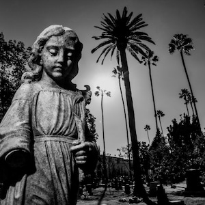 Hollywood forever cemetery / Hollywood, CA. - photograph by Nathaniel C. Shannon