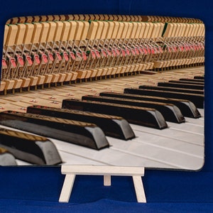 May include: A close-up of the inside of a piano, showing the black and white keys and the hammers that strike the strings. The hammers are visible in the upper part of the image, and the keys are in the lower part of the image.
