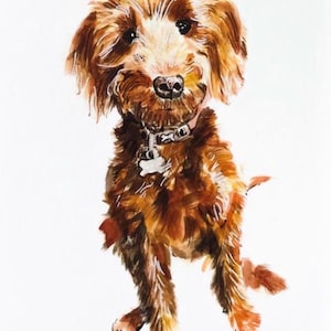 Puede incluir: Pintura a la acuarela de un perro marrón con pecho y cara blancos, que lleva un collar con una etiqueta en forma de hueso. El perro está sentado con una pata levantada. La firma del artista, "Sarah Smith", está en la parte inferior.