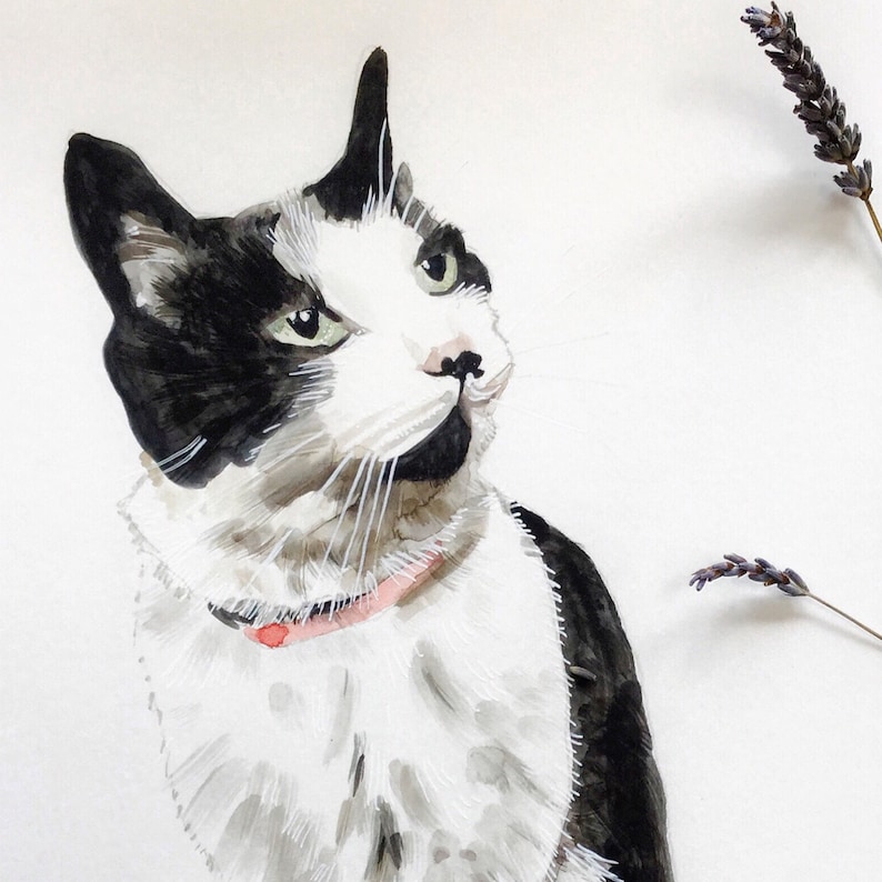 Custom cat portrait painting, commission from photo cat watercolour, hand painted pet portrait for cat lovers image 1