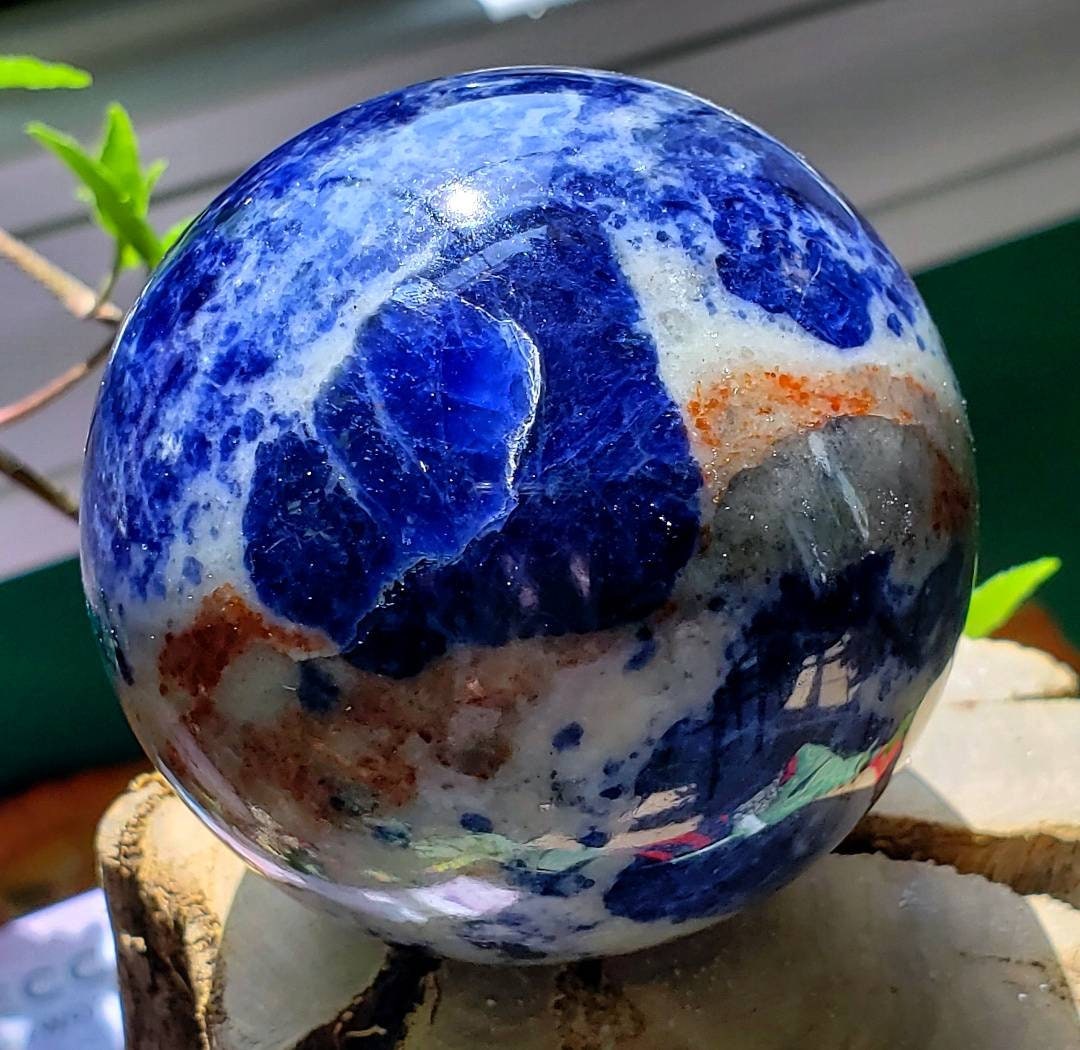 walking dead stars dating