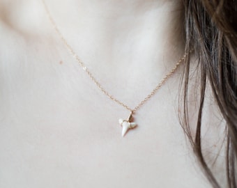 Shark tooth necklace. gold filled or sterling silver option. petite genuine shark teeth. tiny dainty carnivorous. marine biologist gift