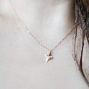 Colar de dente de tubarão. opção de ouro ou prata esterlina. pequenos dentes de tubarão genuínos. minúsculo carnívoro delicado. presente de biólogo marinho