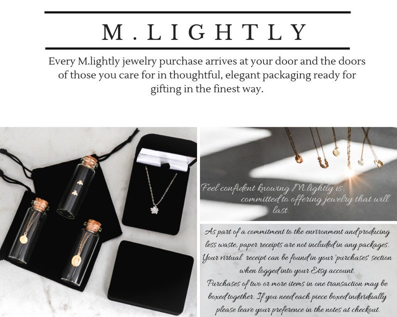 may june birthday sterling silver zodiac sign jewelry planet mercury sign of twins astrology astrological symbol gift Gemini necklace