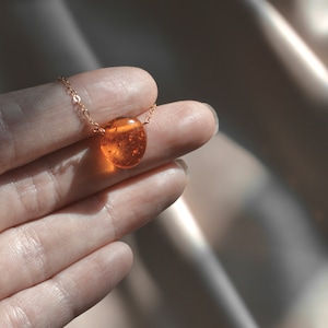 Peut inclure: Un collier en cha&icirc;ne dor&eacute;e avec un pendentif rond en ambre.