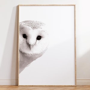 May include: A black and white photograph of an owl's face, framed in a light wood frame. The owl is looking directly at the camera.