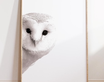 Cute Owl Wall Art, Nursery Woodland Print, Bird Wall Decor, Cute Animal Poster, Printable Owl Artwork, Baby Room Decor, Instant Download Art