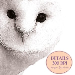 May include: Close-up of a white barn owl's face with black eyes. The owl's feathers are soft and fluffy. The image is in black and white and has a vintage feel. The text "DETAILS 300 DPI High Quality" is in a circle at the bottom right corner of the image.