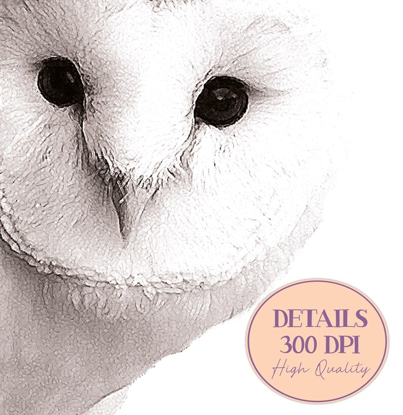 May include: Close-up of a white barn owl's face with black eyes. The owl's feathers are soft and fluffy. The image is in black and white and has a vintage feel. The text "DETAILS 300 DPI High Quality" is in a circle at the bottom right corner of the image.