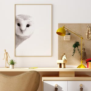 May include: A framed black and white photograph of an owl's face, hanging on a white wall above a wooden desk with a yellow lamp, a wooden horse figurine, and a potted plant.